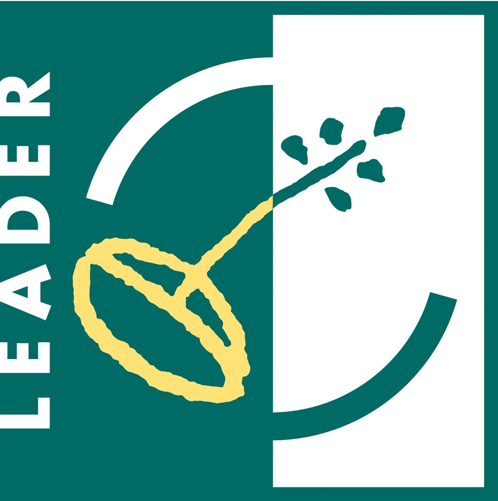 KZGE_Föderlogos-leader