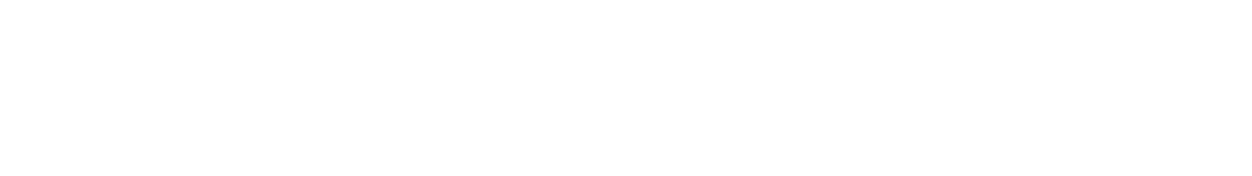 KZGE_vghs-logo-weiss